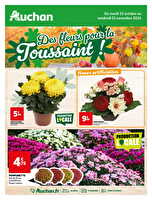 Fleurs de toussaint des magasins Auchan Valable du 22 octobre au 01 novembre 2024