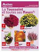 Tract chrysanthème des magasins Auchan Valable du 22 octobre au 01 novembre 2024