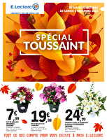 Plantes artificielles toussaint des magasins Leclerc Valable du 22 octobre au 02 novembre 2024