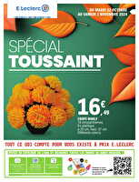 Jardin d'automne/toussaint des magasins Leclerc Valable du 22 octobre au 02 novembre 2024