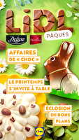 Catalogues à theme chez Lidl Valable du 13 mars au 27 avril 2025